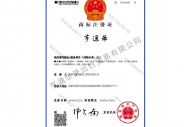 企业资质